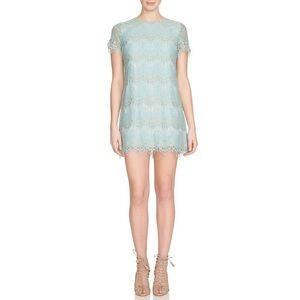 Cynthia Steffe Marley Scalloped Lace Shift Dress